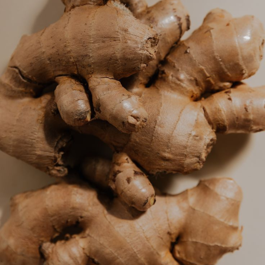 EXTRACTO DE GINSENG