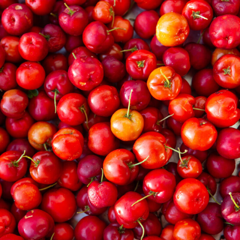 EXTRACTO DE ACEROLA