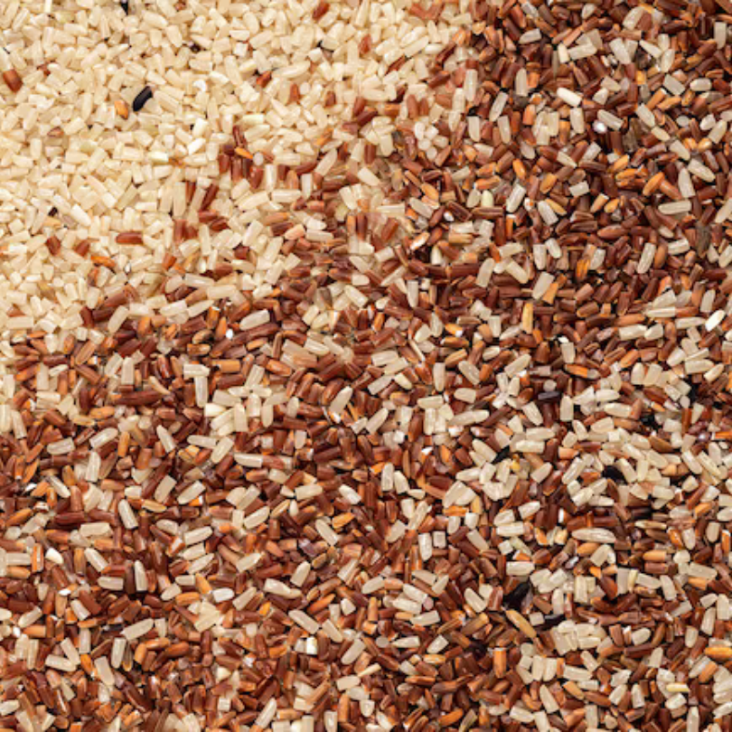 EXTRACTO DE GERMEN DE ARROZ
