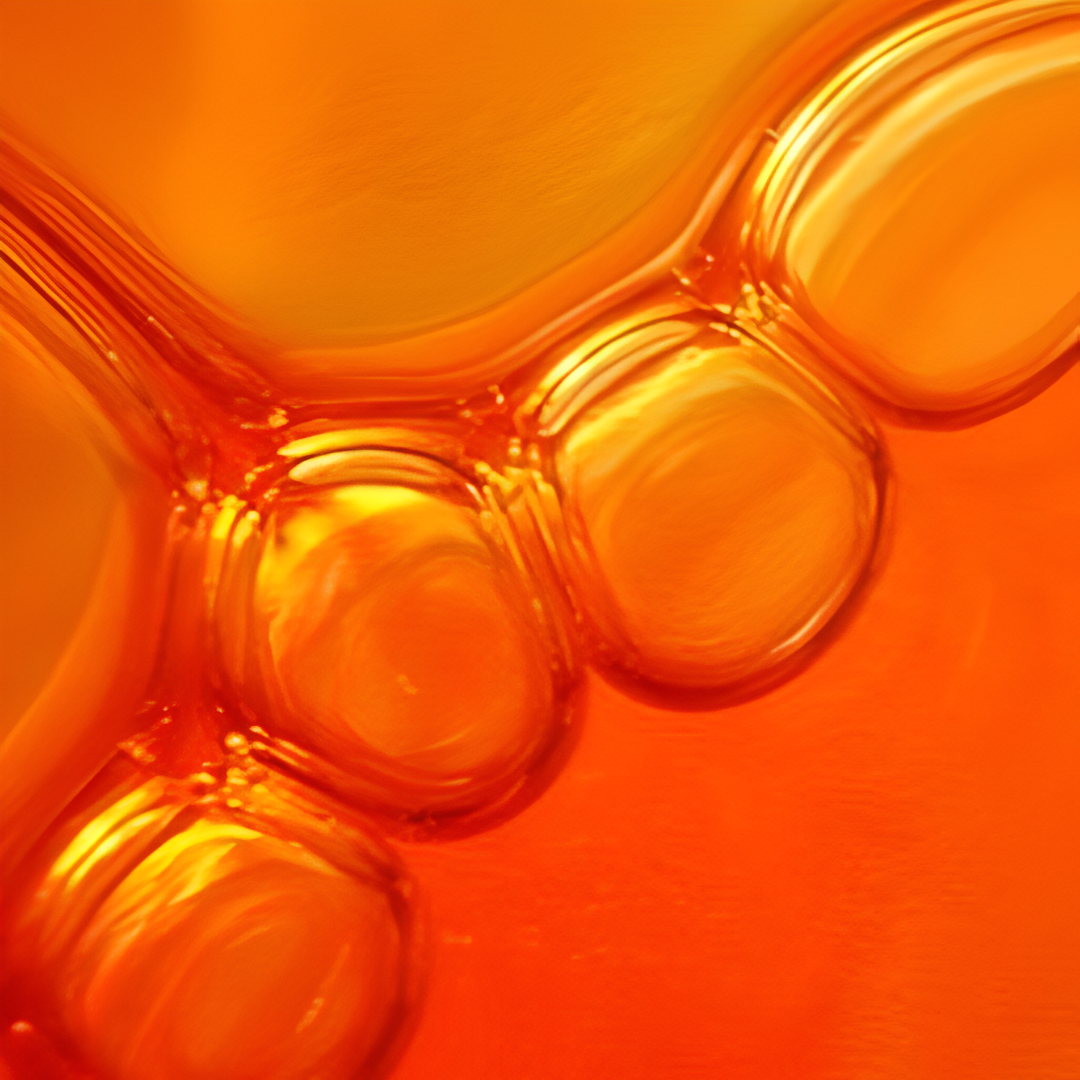 VITAMINA C ESTABLE