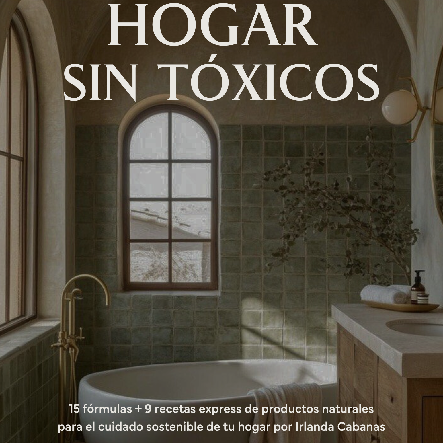 EBOOKHOGARSINTOXICOS_1.png